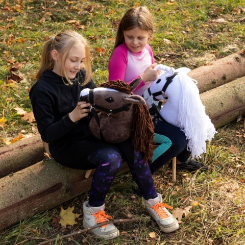 Kasztanowaty konik hobby horse duży A3 kantar HH